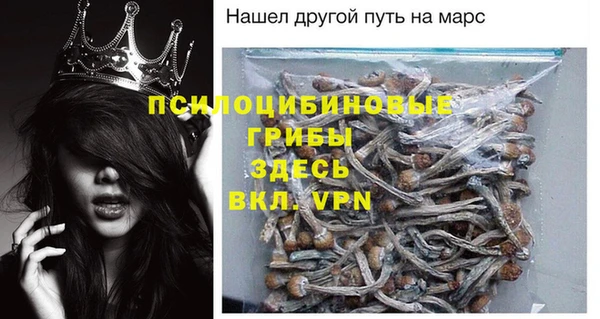 амф Алексеевка