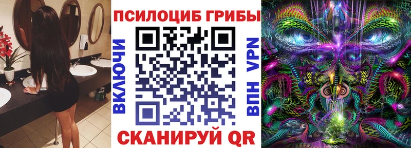 Псилоцибиновые грибы MAGIC MUSHROOMS  кракен вход  Сураж 